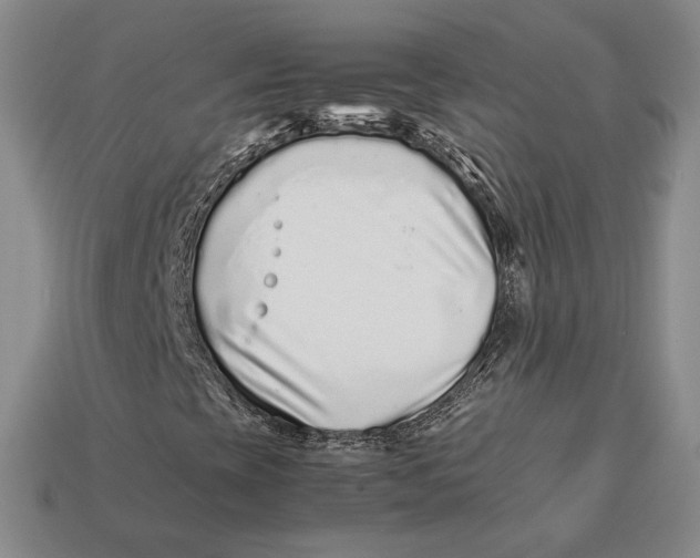 X0000113041393200909241425