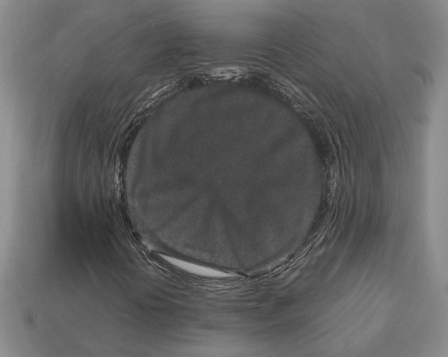 X0000113041394200909241425