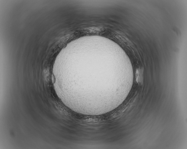 X0000113041395200909241425
