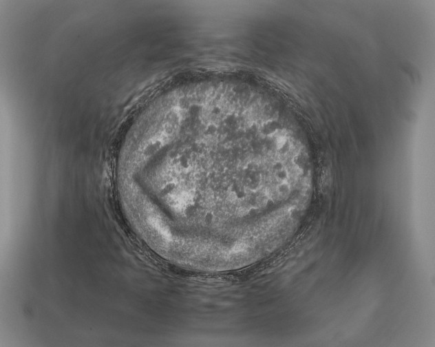 X0000113041397200909241425