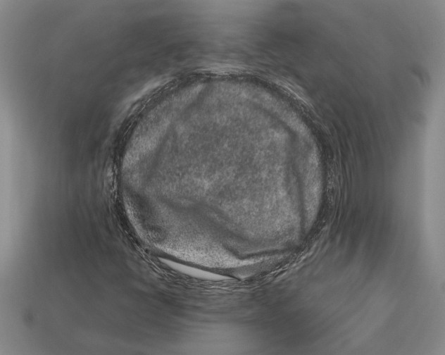 X0000113041398200909241425