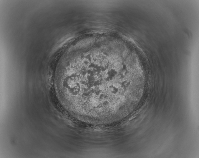 X0000113041399200909241425