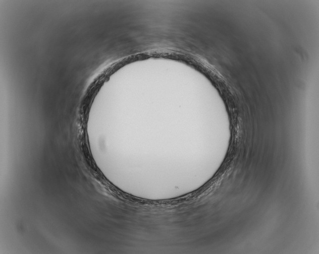 X0000113041400200909241425