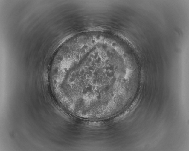 X0000113041401200909241425
