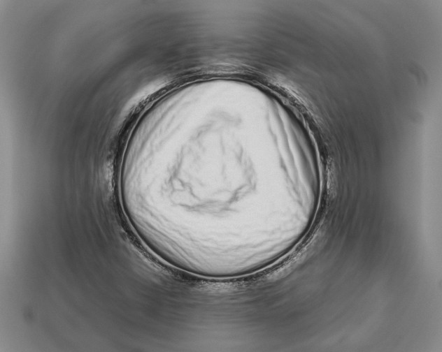 X0000113041402200909241425