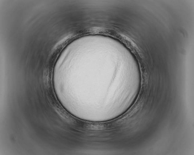 X0000113041403200909241425