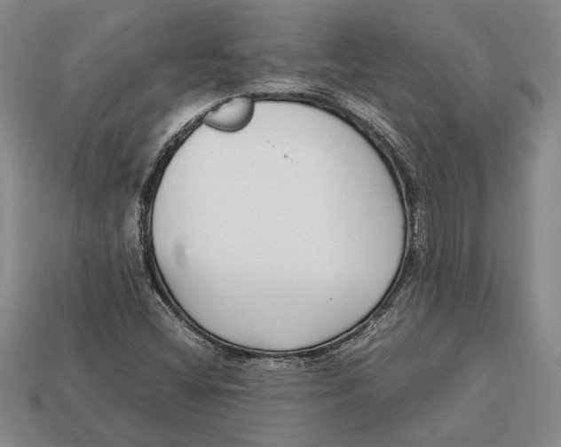 X0000113041404200909241425