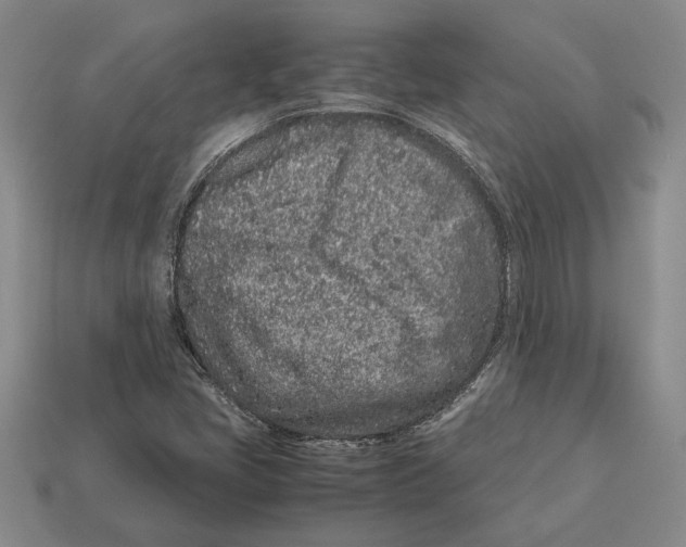 X0000113041405200909241425