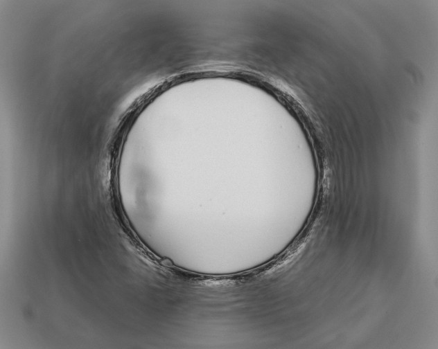X0000113041406200909241425