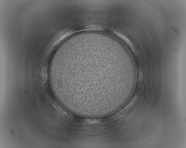 X0000113041407200909241425