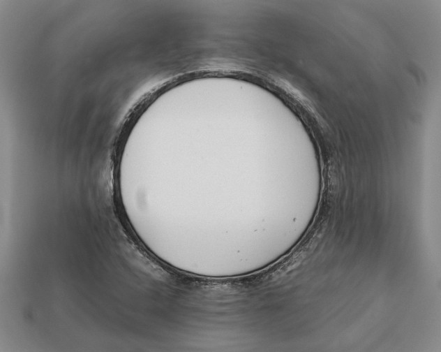 X0000113041408200909241425