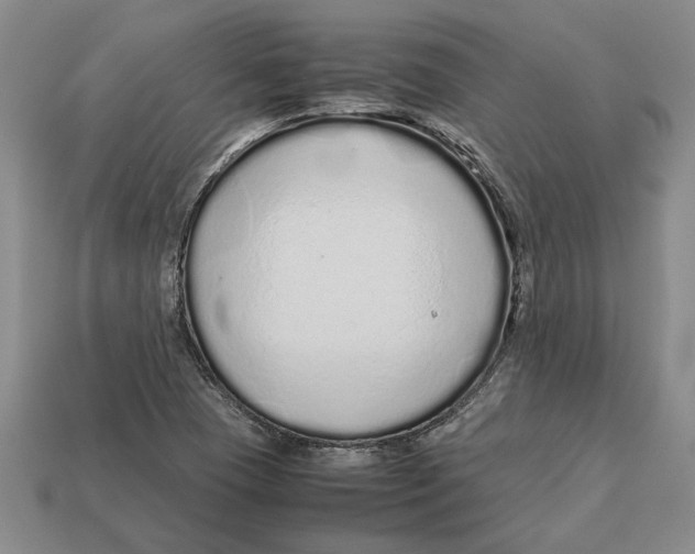 X0000113041409200909241425