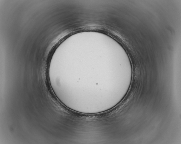 X0000113041410200909241425
