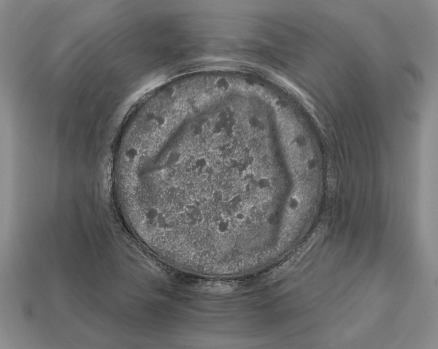 X0000113041411200909241425