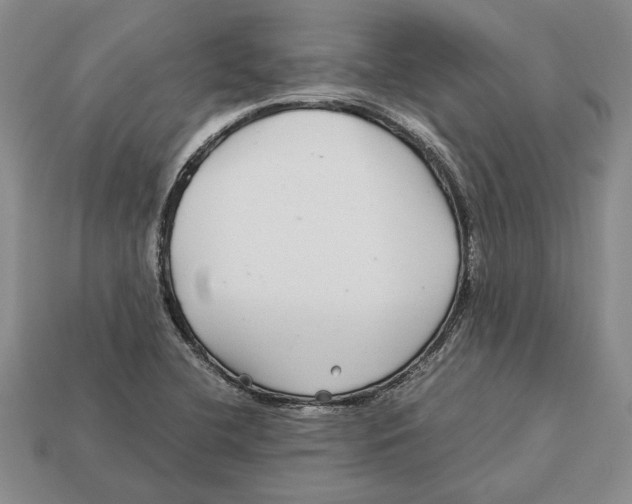 X0000113041412200909241425