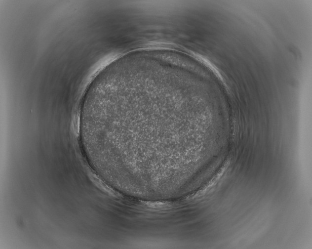 X0000113041413200909241425