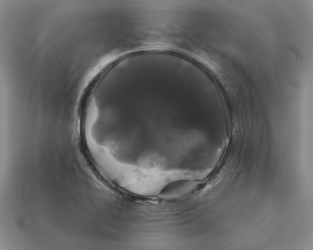 X0000113041414200909241425