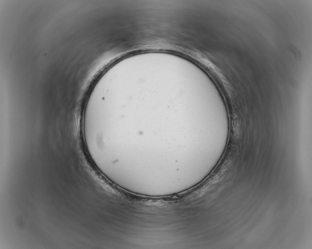 X0000113041416200909241425