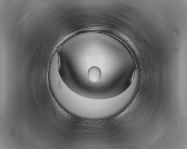 X0000113041417200909241425