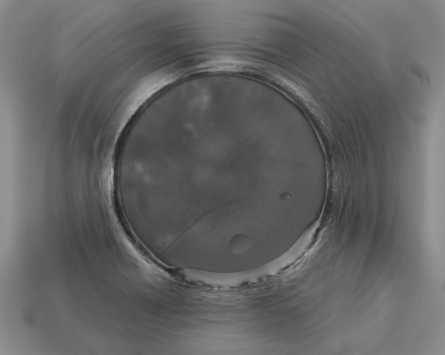 X0000113041418200909241425