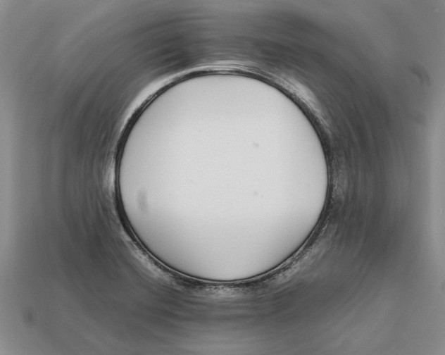 X0000113041420200909241425