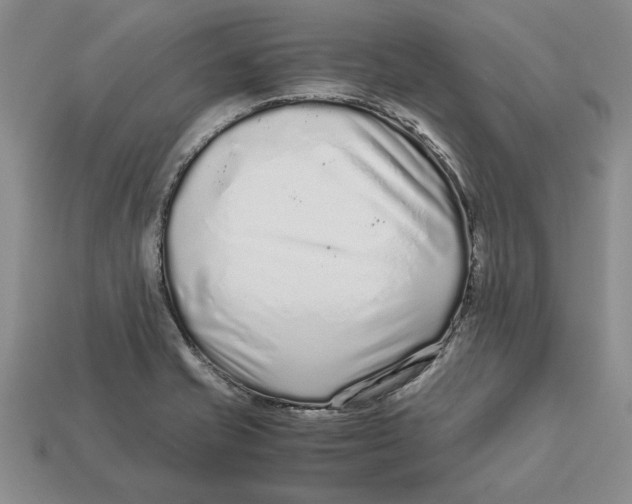 X0000113041421200909241425
