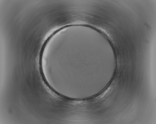 X0000113041422200909241425