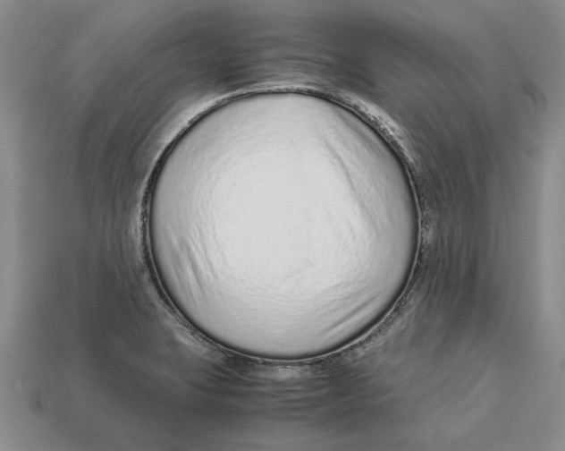 X0000113041423200909241425