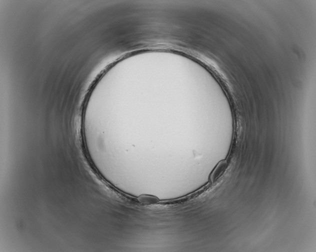 X0000113041424200909241425