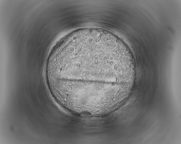 X0000113041429200909241425