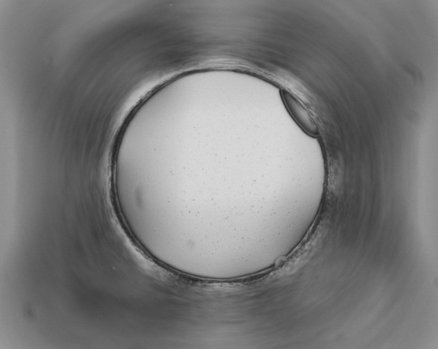 X0000113041430200909241425