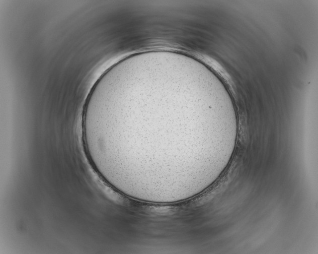 X0000113041431200909241425