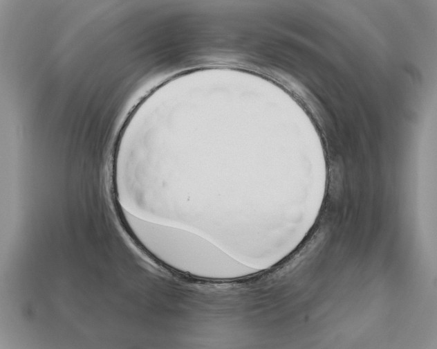 X0000113041432200909241425