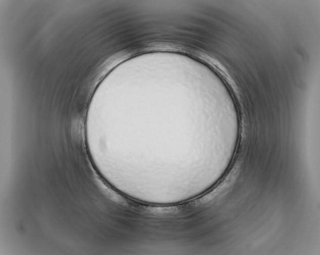 X0000113041433200909241425