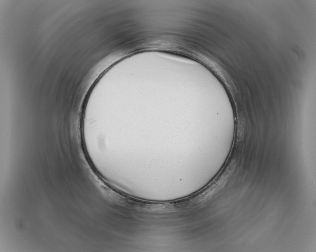 X0000113041434200909241425