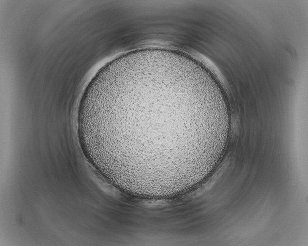 X0000113041435200909241425