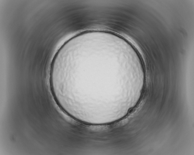 X0000113041437200909241425