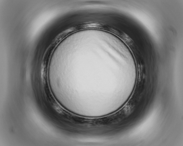 X0000113041438200909241425