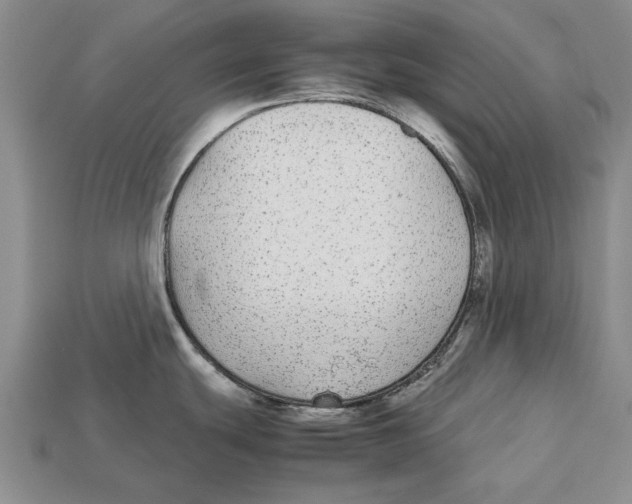 X0000113041439200909241425
