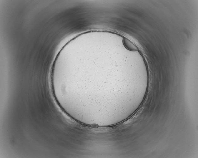 X0000113041440200909241425