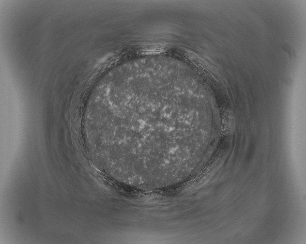 X0000113041441200909241425