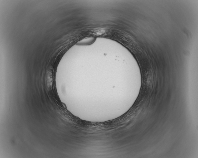 X0000113041442200909241425