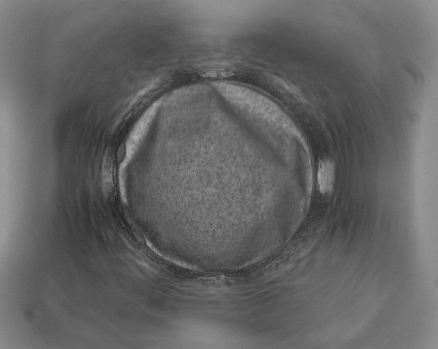X0000113041444200909241425