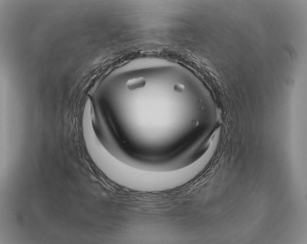 X0000113041445200909241425