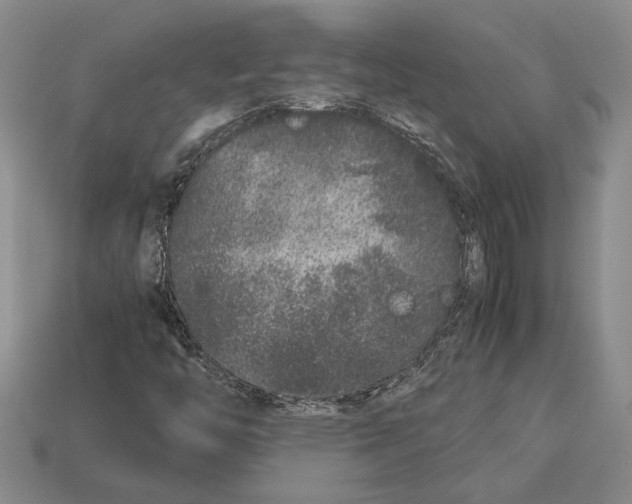 X0000113041446200909241425