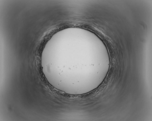 X0000113041447200909241425