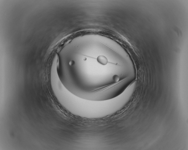 X0000113041448200909241425