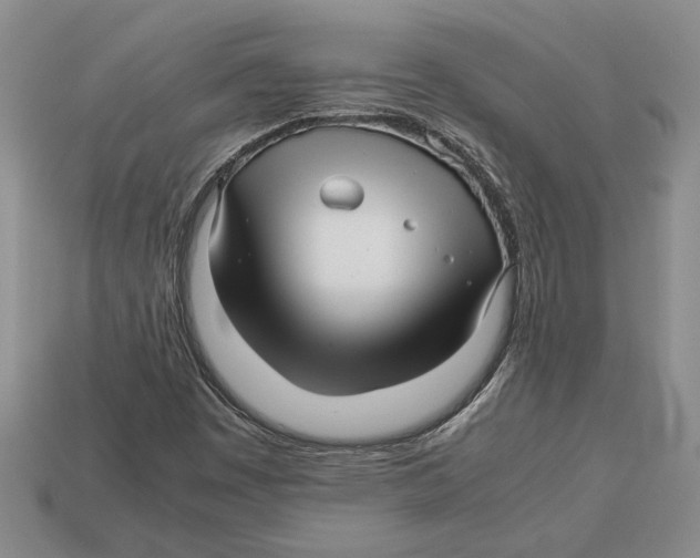 X0000113041449200909241424