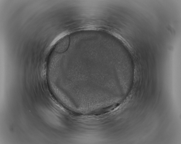 X0000113041450200909241424