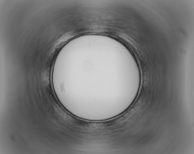 X0000113041451200909241424